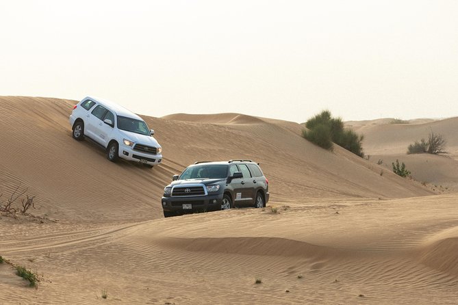Dubai Desert Safari with Quads, BBQ Dinner, Camel ride, & Shows - Dinner under the night sky