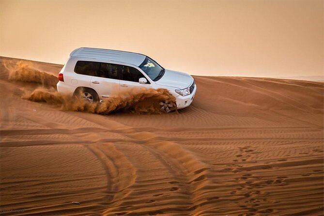 Dubai Desert Safari with Self Drive Quad Biking & Camel Riding - What the strongest praise tells you