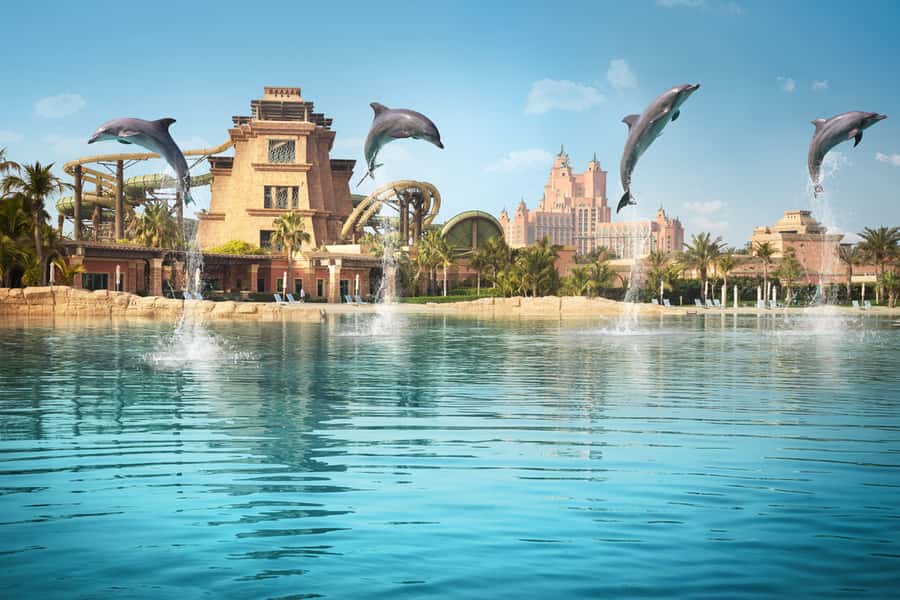 Dubai: Dolphin Encounter & Aquaventure Waterpark Ticket - The real price: $197 before photographs and extras