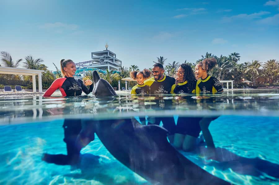 Dubai: Dolphin Encounter & Aquaventure Waterpark Ticket - The 15-minute briefing prepares you for the water