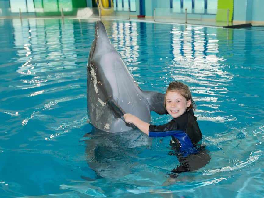Dubai: Dubai Dolphinarium Dolphin, Seal & Bird Show Tickets - Should you book Dubai Dolphinarium?