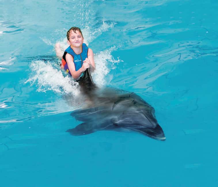 Dubai: Dubai Dolphinarium Dolphin, Seal & Bird Show Tickets - How long the outing feels