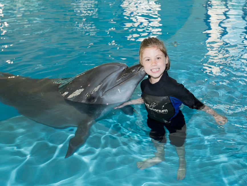 Dubai: Dubai Dolphinarium Dolphin, Seal & Bird Show Tickets - Who will enjoy this most?
