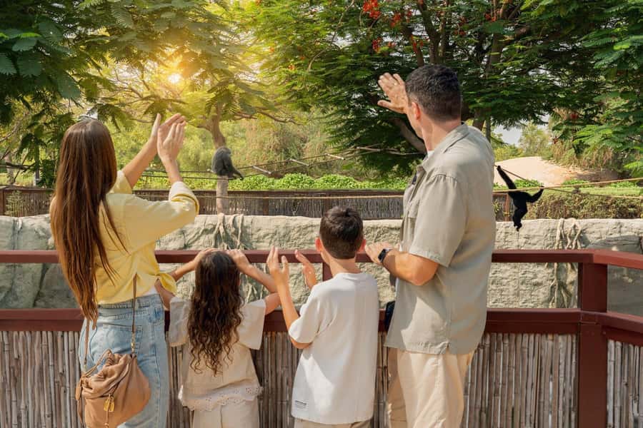 Dubai: Dubai Safari Park Entry Pass - What your $13 ticket really gets you