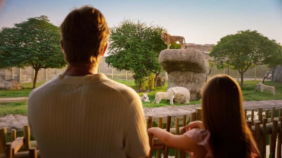Dubai: Dubai Safari Park Entry Pass - African Village: big animals and broad enclosures
