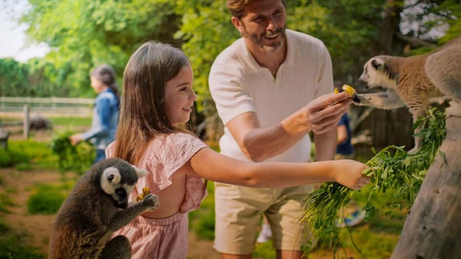 Dubai: Dubai Safari Park Entry Pass - Asian Village: forests, ponds, and friendly guides