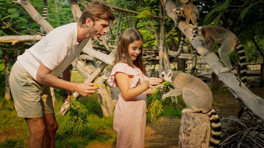 Dubai: Dubai Safari Park Entry Pass - Kids Farm, Grand Aviary, and animal presentations