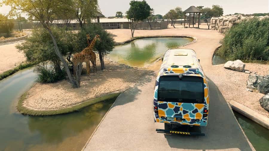 Dubai: Dubai Safari Park Entry Pass - Food, shade, and surviving the Dubai heat