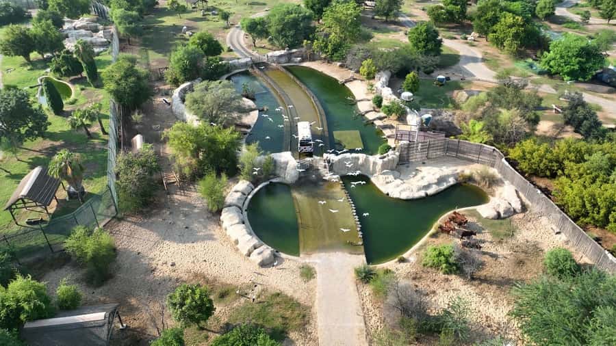 Dubai: Dubai Safari Park Entry Pass - How much time should you allow?