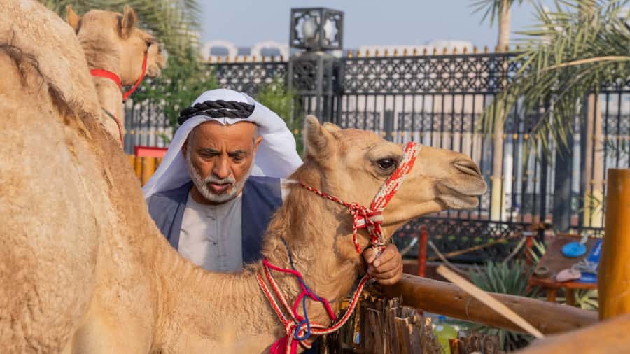 Dubai: Emirati Cultural Experience with Emirati Meal - Riding the Heritage Express trolley