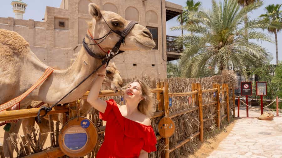Dubai: Emirati Cultural Experience with Emirati Meal - How much value do you get for $71?