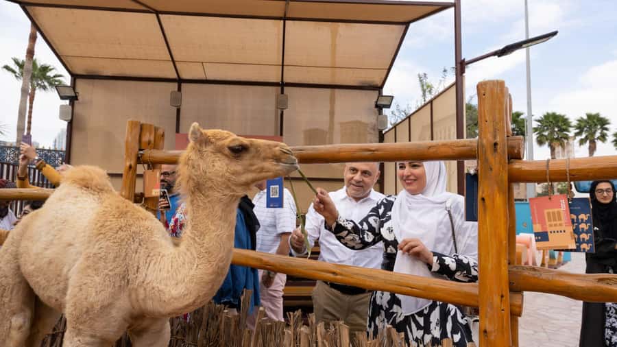 Dubai: Emirati Cultural Experience with Emirati Meal - How to prepare for a smoother day