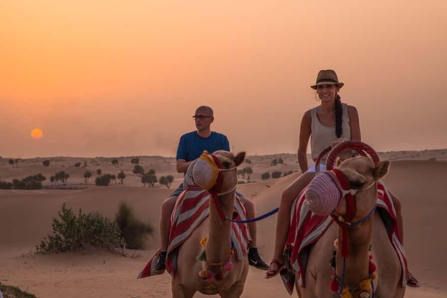 Dubai: Evening Camel Trekking & Dinner at Al Marmoom Oasis - Weather, comfort, and what to bring