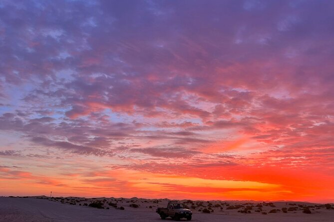 Dubai Evening Desert Safari - Should you book the Dubai Evening Desert Safari?
