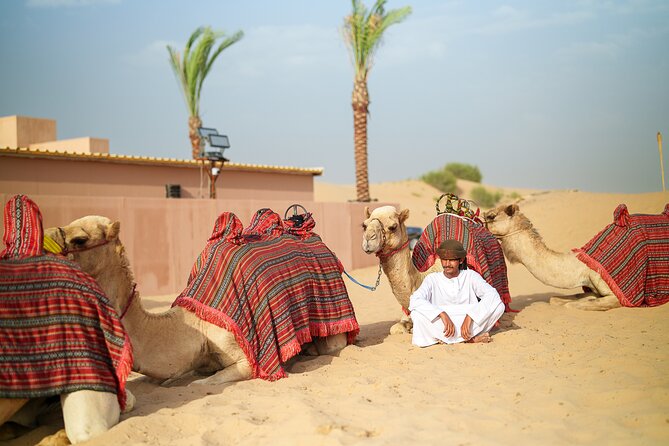 Dubai Evening Desert Safari BBQ Dinner & Transfer to Noble Camp - Is the $79.82 price good value?