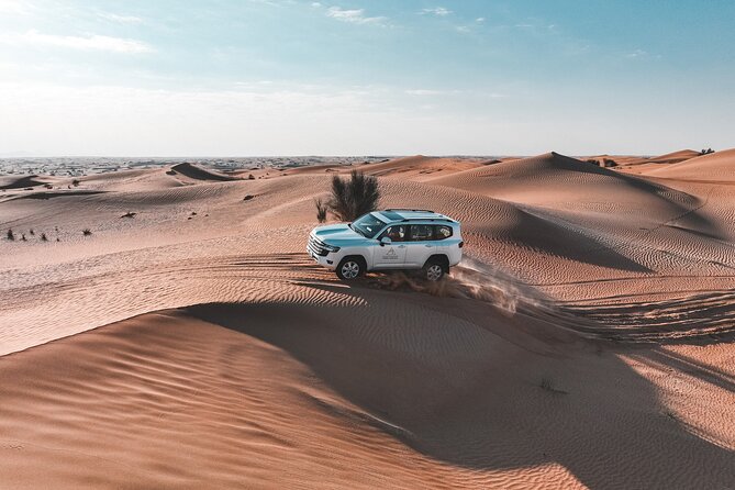 Dubai Evening Desert Safari: Sandboarding, BBQ, Camel Ride & more - Tanoura, belly dancing, fire and falcons