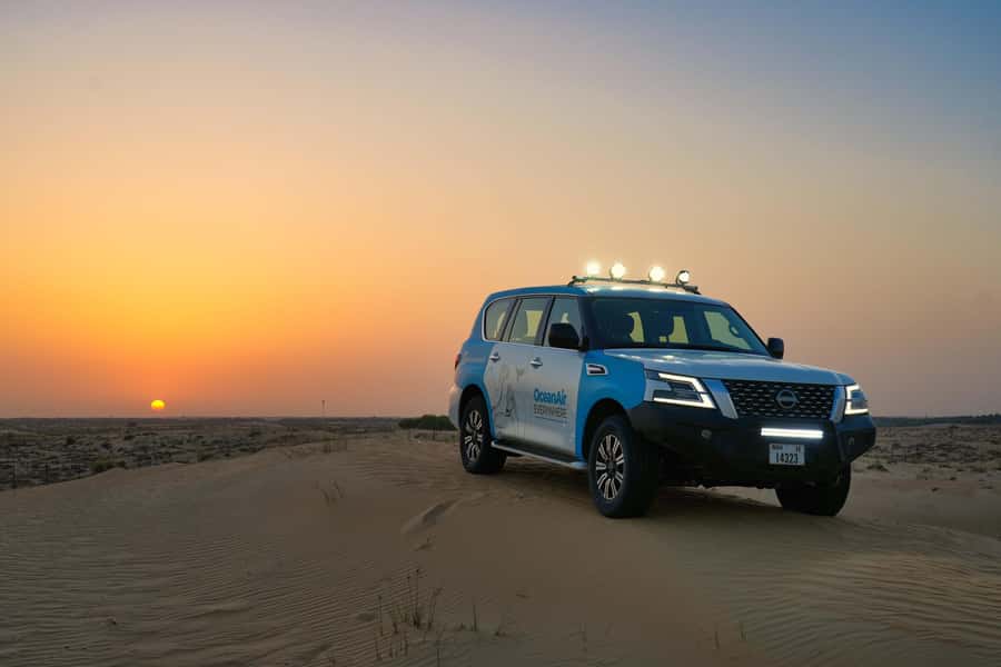 Dubai: Evening Desert Safari with Camel Ride & Stargazing - Key points to know before booking