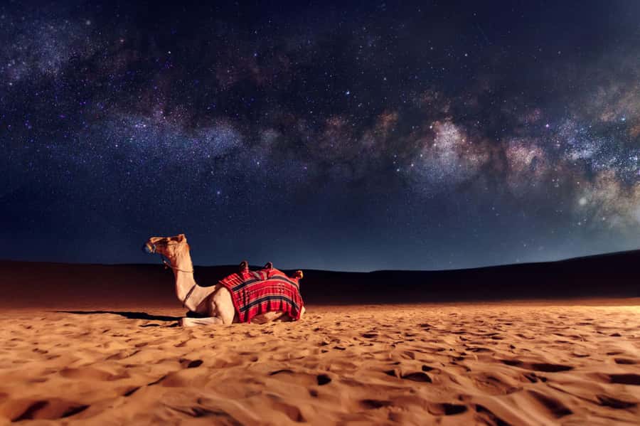 Dubai: Evening Desert Safari with Camel Ride & Stargazing - Stories and Stars under a clear sky