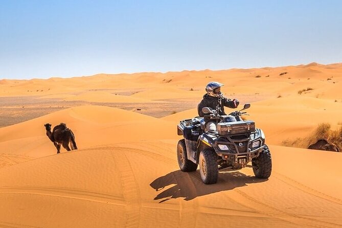 Dubai Evening Desert Safari with Quad bike, Dinner and Show - Quick points before you book