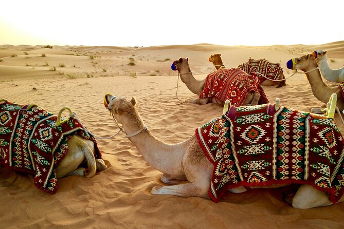 Dubai Evening Desert Safari with RedDune, sandboarding, live show - Dinner is a useful part of the package