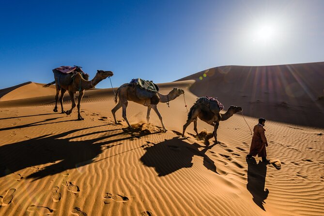 Dubai Evening Desert Safari with RedDune, sandboarding, live show - Live shows bring the evening to a lively finish