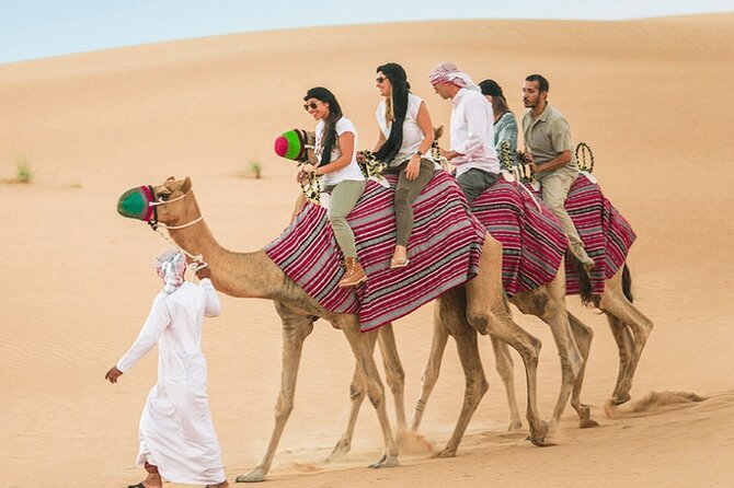 Dubai Evening Red Dune Safari at Lahbab - Falcon viewing and the shisha area