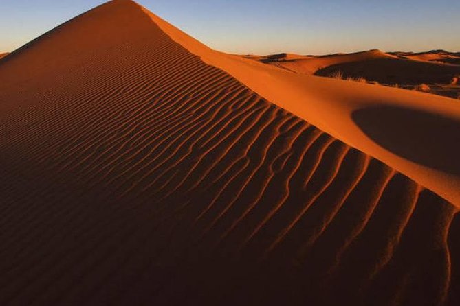 Dubai Evening4x4Desert Safari,BBQ Dinner,4 LiveShows,Camelride - Why this Dubai safari offers good value at $45