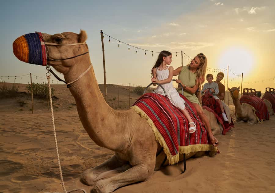 Dubai: Exclusive VIP Desert Safari Dinner with Live Show - Quad bikes and buggies require a careful check