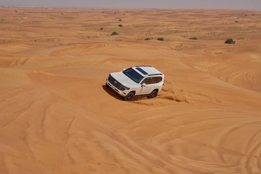 Dubai: Exclusive VIP Desert Safari Dinner with Live Show - Is the $201 price fair?