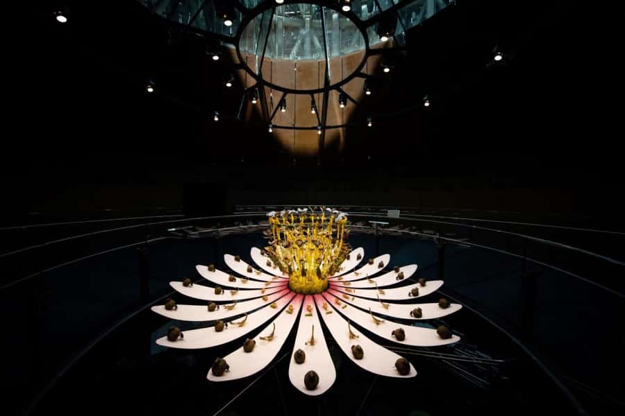 Dubai: Expo City Attractions Pass - Who will enjoy this most