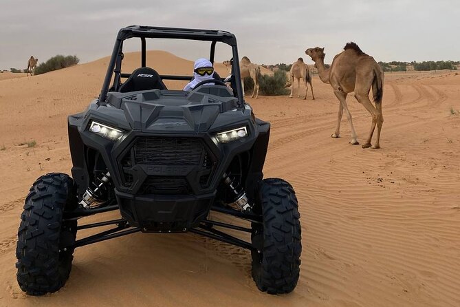Dubai: Extreme Red Dune Buggy Desert Safari Adventure - Sandboarding from a high dune