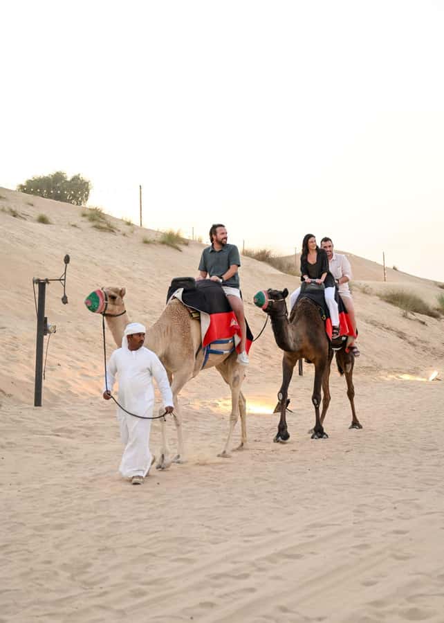 Dubai Fort Lisaili Desert: Quad, Buggy Ride & Free Souvenir - Service and the role of the guide