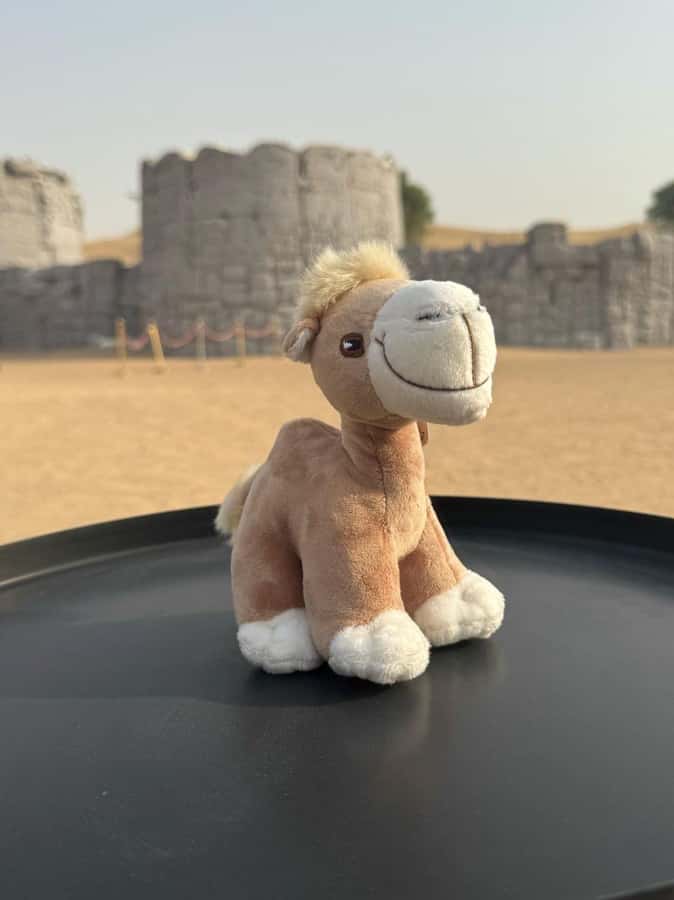 Dubai Fort Lisaili Desert: Quad, Buggy Ride & Free Souvenir - Who will enjoy Fort Lisaili most?
