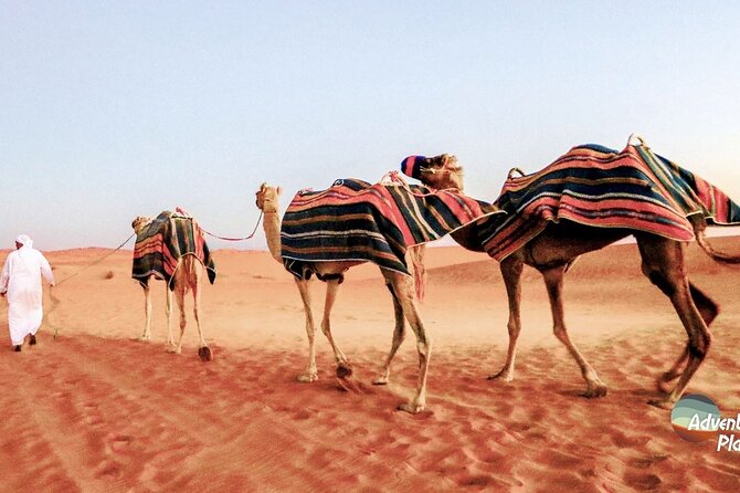 Dubai Full-Day Desert Safari Experience with Live BBQ Dinner - Twenty minutes of dune bashing