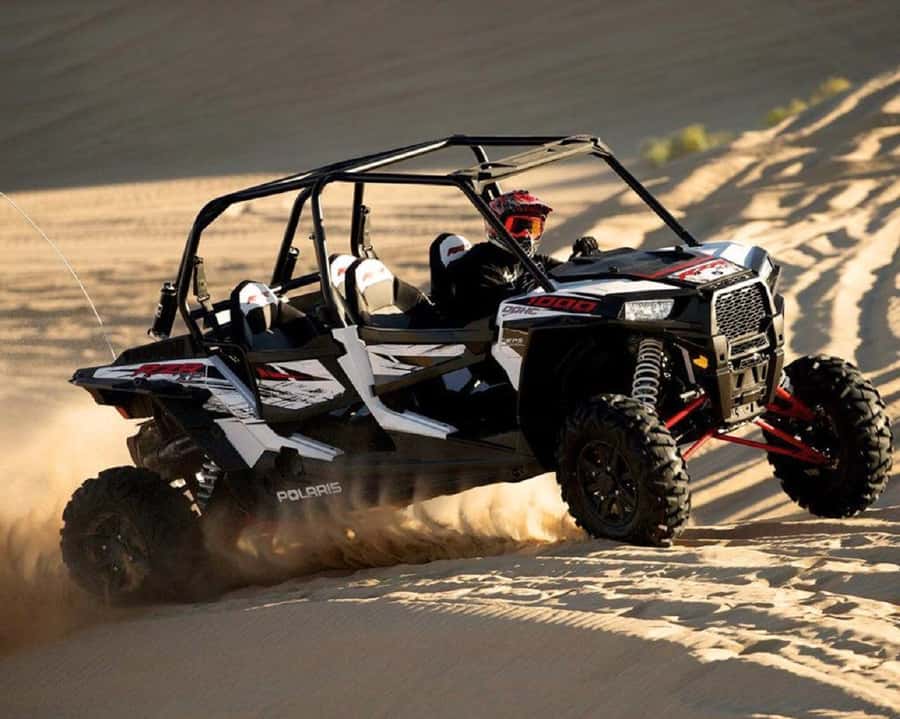 Dubai: Guided Dune Buggy Driving Experience in the Desert - Desert scenery, wildlife, and the photo stop