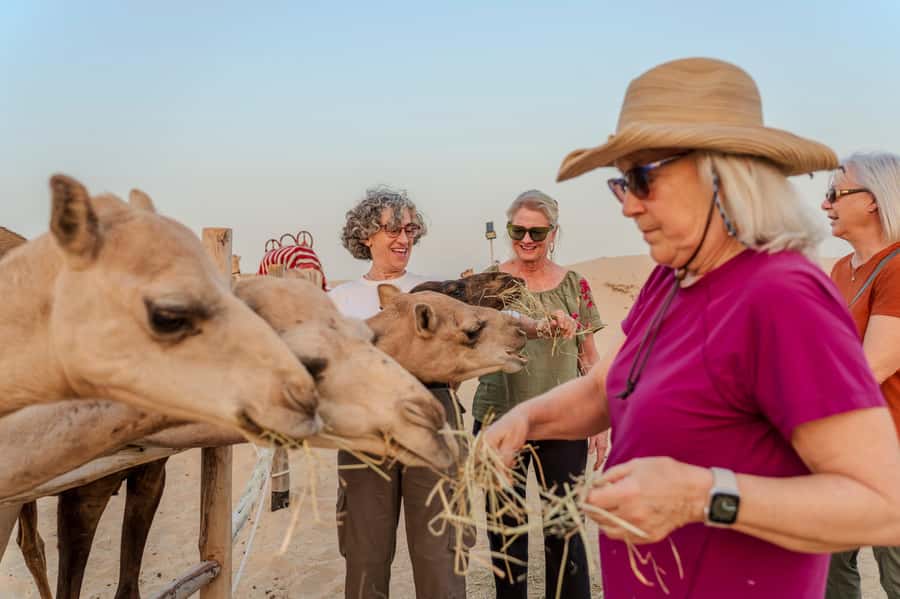 Dubai: Half-Day Camel Trekking with Al Marmoom Breakfast - The Emirati breakfast is more than a snack