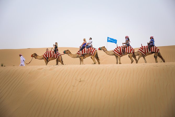Dubai: Half-Day Desert Safari, Camels, Quad Bike & Refreshments - Sandboarding is simple, funny, and more physical than it looks