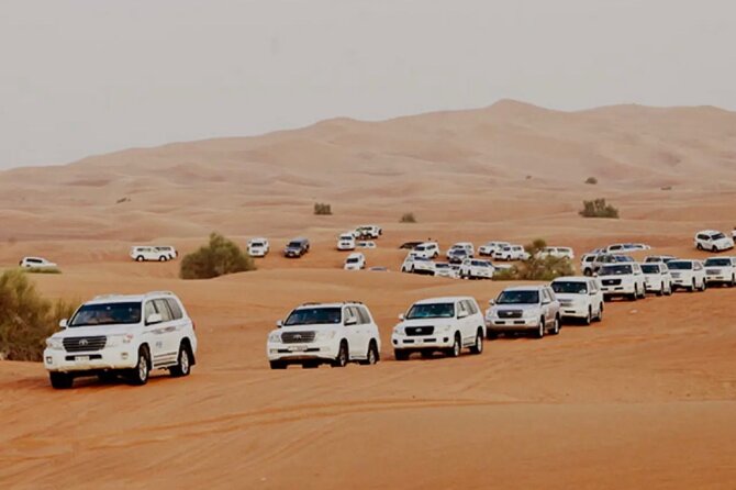 Dubai: Half-Day Desert Safari ,Camels & Sunset - Key points to know before booking