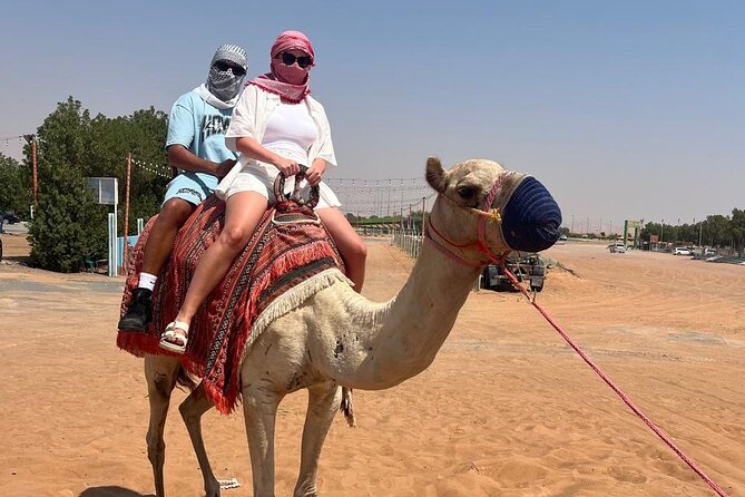 Dubai: Half-Day Desert Safari ,Camels & Sunset - Sandboarding on the dunes