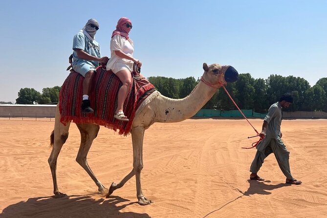 Dubai: Half-Day Desert Safari ,Camels & Sunset - What the private format changes