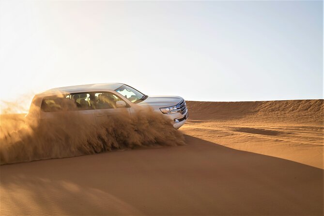Dubai Half-day Red Dunes bashing with Sandboarding, Camel &Falcon - What the $34.89 price really includes