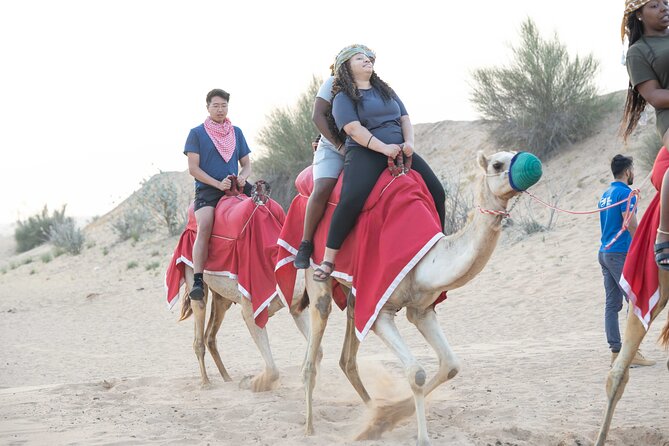 Dubai Half-day Red Dunes bashing with Sandboarding, Camel &Falcon - Lahbab and the red dunes