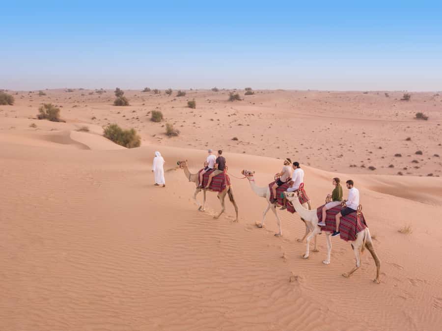 Dubai: Heritage Camel Desert Safari with Traditional Dinner - Why this safari feels different from Dubai’s usual desert tours