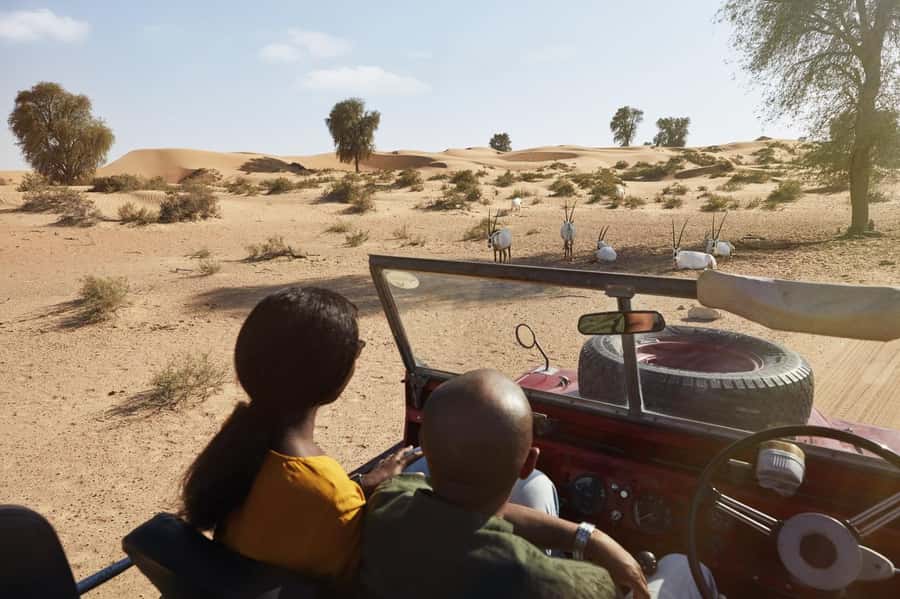 Dubai: Heritage Safari in Vintage Land Rover with Dinner - Is $189 per person good value?