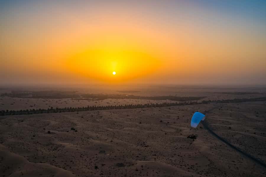 Dubai: Hot Air Balloon, Camel Ride, Desert Safari & More - Falconry and the best photo opportunity