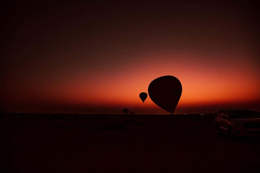 Dubai: Hot Air Balloon Ride with Camel Ride & Falcon Show - The in-flight falcon display