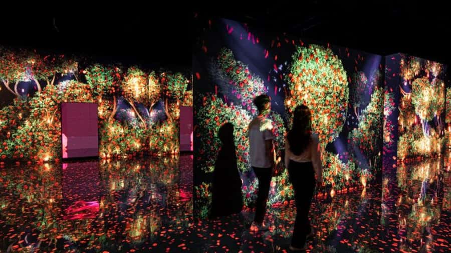 Dubai: iVenture Card Dubai Flexi Attractions Pass - Who gets the most from this pass
