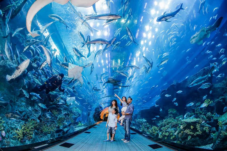 Dubai: iVenture Card Dubai Select Attractions Pass - Pool 2 adds movement and variety