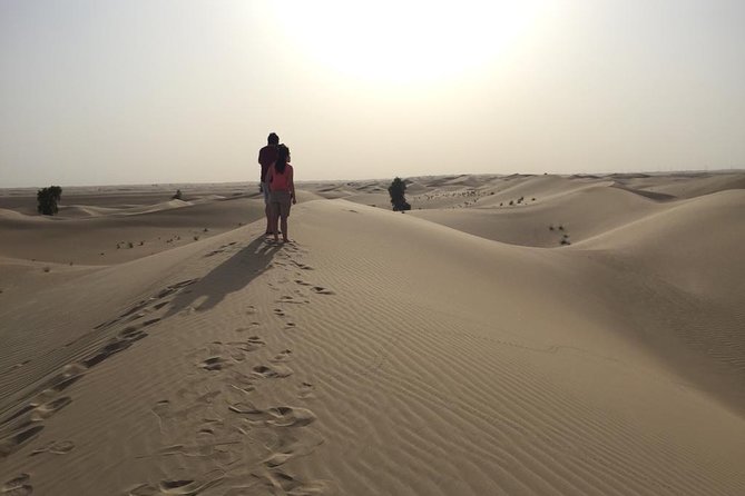 Dubai Kids Friendly Morning Safari - Private Car - Why this safari makes sense for families