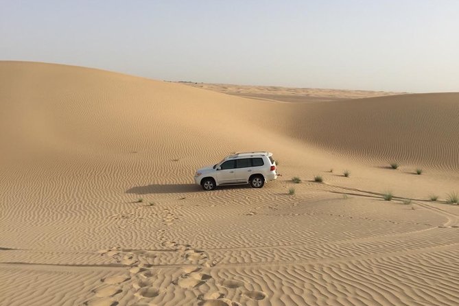 Dubai Kids Friendly Morning Safari - Private Car - Practical comfort tips for parents